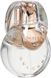 Omnia Crystalline Bvlgari W.56.3 фото 1