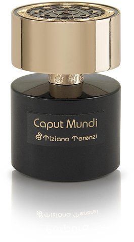 Caput Mundi Tiziana Terenzi Extrait de Parfum 100ml FBU.568.100 фото