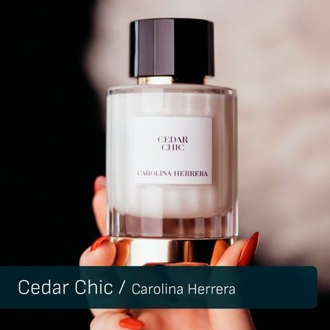 Cedar Chic Carolina Herrera