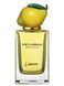 Lemon Dolce&Gabbana U.144.3 фото 1